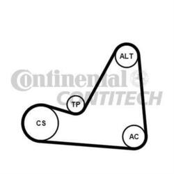 CONTINENTAL CTAM 6PK1070K3 Keilrippenriemensatz für PEUGEOT CITROËN