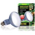 150 Watt Daylight Basking Spot / Breitspektrum-Tageslichtlampe  ...  PT2134