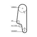 1x Zahnriemen GATES 5428XS passend für SEAT SKODA VW DANA