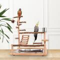 Parrot Bird Playground Wooden Perch Stand for Finches Small Parakeets