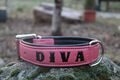 Lederhalsband DIVA vernäht 55cm Halsband Hundehalsband Hund Leder punziert pink