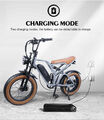 E Bike 20 Zoll Mountainbike Elektrofahrrad MTB 750W 15AH 48V MTB Fatbike 45KMEd