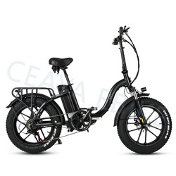 20 Zoll Elektrofahrrad Ebike E-Fahrrad 48V20AH E-Mountainbike Citybike Pedelec