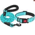 haapaw reflektierendes Hundehalsband gepolstert mit weichem Neopren