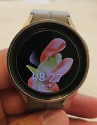 Samsung Galaxy Watch5 Pro 45mm Titangehäuse mit Silikonarmband - Grau (LTE)