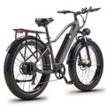 E Bike 26 Zoll E Mountainbike Damen/Herren Elektrofahrrad 48V 20AH Moped ebike