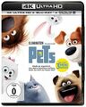 Pets - 4K Ultra HD + Blu-Ray NEU/OVP