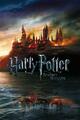 Harry Potter und die Heiligtümer des Todes 7 Poster 61 x 91,5 cm