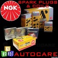 NGK Platinum Zündkerzen & Zündspule Satz BKR6EKPA (2513) x4 & U5042 (48161) x4