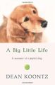 A Big Little Life, Koontz, Dean, Used; Good Book