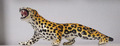 Leopard Figur aus Keramik Tier Skulptur Dekofigur Vintage ca. 41 cm breit