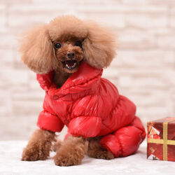 Hundemantel Winter Overall Wasserdicht Hundejacke Hundekleidung für Kleine Hunde