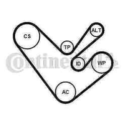 CONTINENTAL CTAM 6PK1555K4 Keilrippenriemensatz für VW