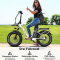 20 Zoll [Fafrees F20 Max] E Bike Faltbares Elektrofahrrad Pedelec 500W 45km/h EU