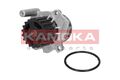 KAMOKA Wasserpumpe T0023 für AUDI BERTONE BMW CITROËN DAIHATSU