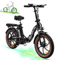 RCB RK6S Elektrofahrrad 250W 36V/12Ah Klapprad Fahrrad City EBike 25km/h E-Bike