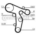 Original CONTINENTAL CTAM Wasserpumpe + Zahnriemensatz CT1134WP2 für Audi Seat