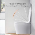 Pipishell Toilettendeckel, WC Sitz mit Absenkautomatik
