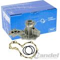 SKF WASSERPUMPE passend für AUDI A4 (B5) A6 (C4 C5) CABRIO (B4) VW PASSAT (3B)