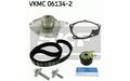 SKF Zahnriemensatz mit Wasserpumpe für RENAULT SCÉNIC NISSAN NOTE VKMC 06134-2