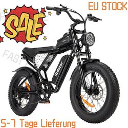 RIDSTAR 20 Zoll Elektrofahrrad 1000W 48V 15Ah  Offroad Mountainbike Fatbike