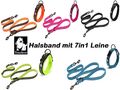 Truelove Hundehalsband • Hundeleine • Führleine • Hund • Leine • Nylon • S-XXXL