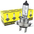 10x H7 Birnen 12V 55W Lampen Autolampe Birne BREHMA  Halogen Lampe PX26d Classic