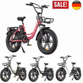 48V 13Ah 20 Zoll E-BIKE Elektrofahrrad 250W Fatbike Fahrrad Pedelec e Citybike