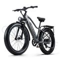 E-Fahrrad 26 Zoll Aldult E Bike 1000W Elektrofahrrad 960Wh 48V Pedelec E MTB