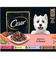 (EUR 16,63 / kg)  CESAR Selektion in Sauce im Mix-Pack 4 Varietäten: 12 x 100 g