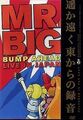 Mr. Big - Bumb Ahead, Live in Japan | DVD | Zustand sehr gut