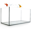 Aquarium Becken 60x30x30 cm rechteckig 54 L Glas Aquarienbecken nano klein 60