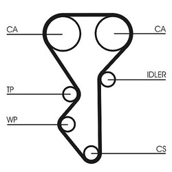 CONTINENTAL CTAM Wasserpumpe + Zahnriemensatz  u.a. für CITROËN, PEUGEOTDie Nr.1* für Autoteile: Top-Preis-Leistungs-Verhältnis