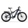 Fatbike 26 Zoll Mountainbike 1000W Elektrofahrrad 48V Herren eBike E MTB 25km/h