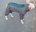 Hundemantel Hundejacke Outdoor Kleidung Wasserdicht Reflektierend