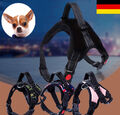 Hundegeschirr Hunde Brustgeschirr Verstellbar Gr. XS S M L XL gepolstert Nylon