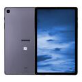 Samsung Galaxy Tab S6 Lite 2022 Edition LTE 10,4'' Tablet PC 64GB Grau I Wie neu