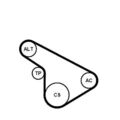 CONTINENTAL CTAM 5PK1212K1 Keilrippenriemensatz für OPEL