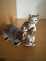 2x Katzen Figur Tierfigur Dekofigur Haustier Deko Katze Kitty Vintage Rar ✅