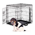 Hundekäfig faltbar Hundetransportbox Auto Gitterbox Drahtkäfig S-XXXL Welpenbox