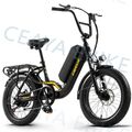 Elektrofahrrad E Mountainbike 750W 20 Zoll Shimano eBike Fatbike Pedelec E Mtb