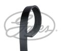 GATES 6PK1600XS V-Ribbed Belt for OPEL,VAUXHALL