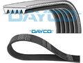 DAYCO 5PK884 Keilrippenriemen Keilriemen 