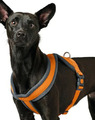 ⭐️ Hunter London Hundegeschirr 57 - 70 cm Größe M orange grau ⭐