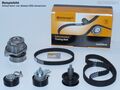 CONTI Zahnriemen +Rollen Wasserpumpe CITROEN C2 C3 C4 Xsara Berlingo 1.6/66/80KW