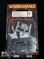 Warhammer Fantasy Vampire Counts Blood Dragon Blutdrachen Vampire Undead OOP KA3