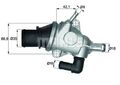 MAHLE TI 125 88 Thermostat, Kühlmittel für ALFA ROMEO  passend für FIAT