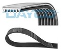 Dayco 6PK1125 Keilrippenriemen Keilrippenriemen für AUDI CITROËN DACIA PEUGEOT
