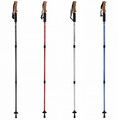 Nordic Walking Stöcke Wanderstöcke Teleskop Antischock Stock65-135cm verstellbar