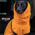 Dryup Cape Hundemantel Bademantel Trockencape Hund Trockenmantel clementine